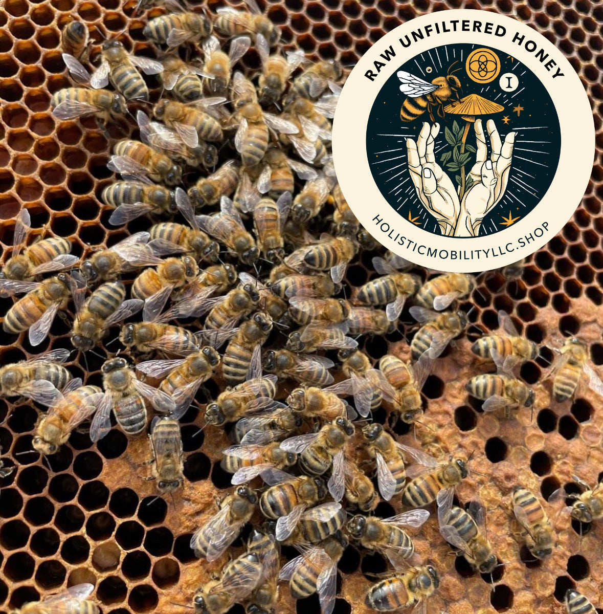 Raw organic western slope Colorado honey