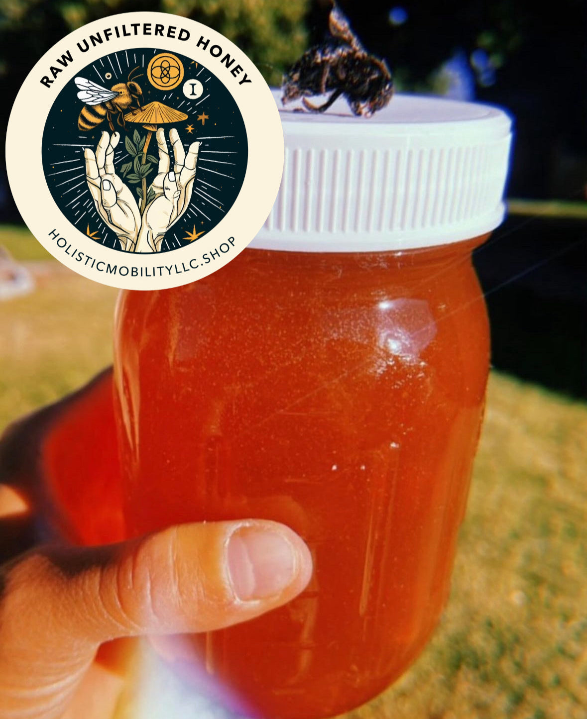 Raw organic western slope Colorado honey