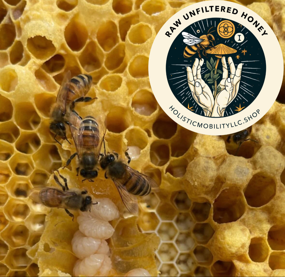 Raw organic western slope Colorado honey