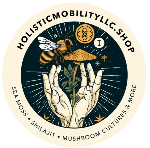 Holistic Mobility llc